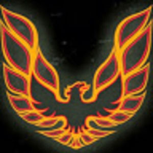 Meet your Posher, Shaun